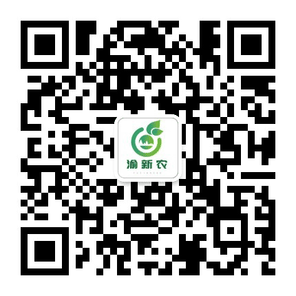 渝新农公众号二维码