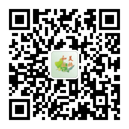 廉洁板桥公众号二维码