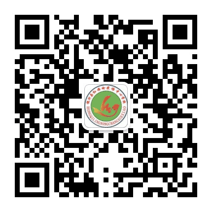 红旗岭农场学校微之窗公众号二维码