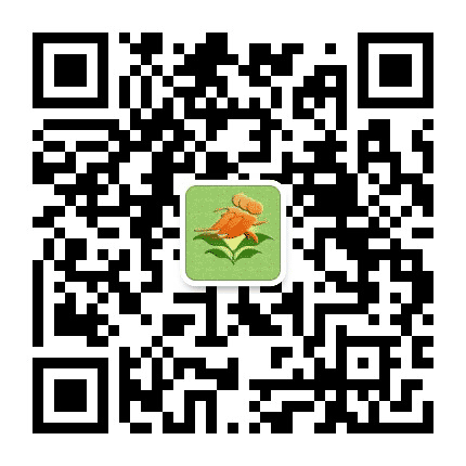 福州仓山区金康幼儿园公众号二维码