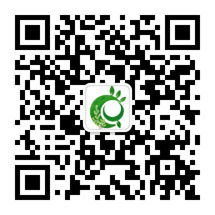 青藤 Fan领域公众号二维码