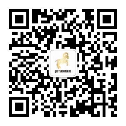 葡萄牙美食美酒公众号二维码