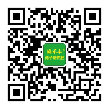 株禾丰公众号二维码