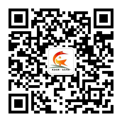 信阳视角公众号二维码