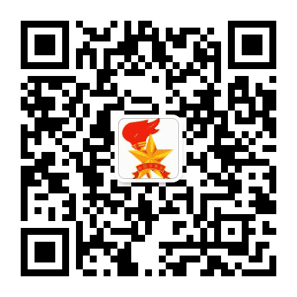 莱芜少先队公众号二维码