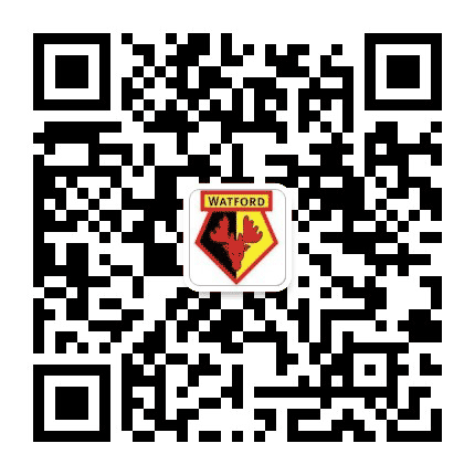 稳球稳单公众号二维码