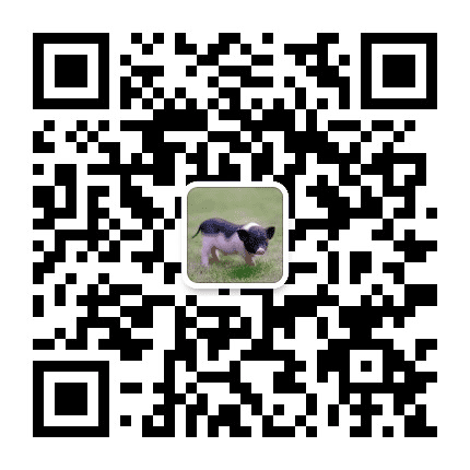 智安家科技公众号二维码