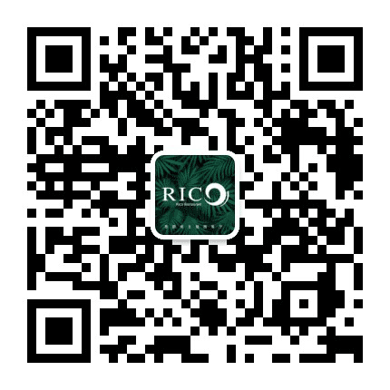 莱可墨西哥西餐厅公众号二维码