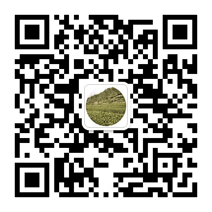 登塘发布公众号二维码