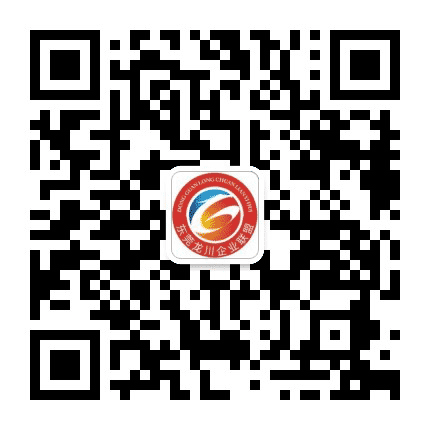 东莞市龙川企业联盟公众号二维码