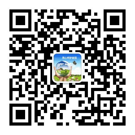 同城生活精选公众号二维码