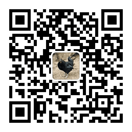 长坪黑鸡公众号二维码