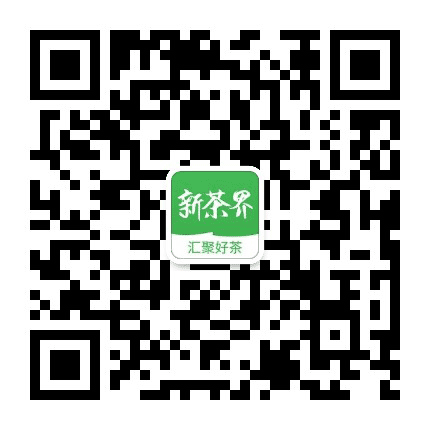 新茶界公众号二维码