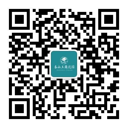 泰山玉兰花园公众号二维码