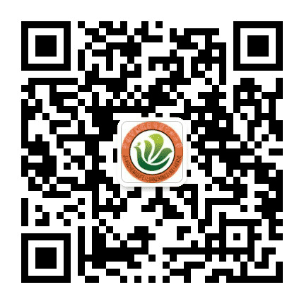宁德市蕉城区飞鸾中心小学公众号二维码