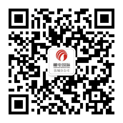 郴电国际汝城分公司公众号二维码
