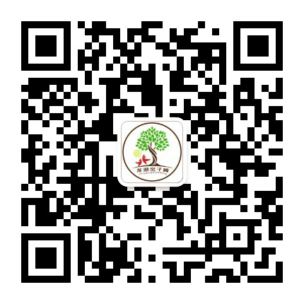 龙港亲子网公众号二维码