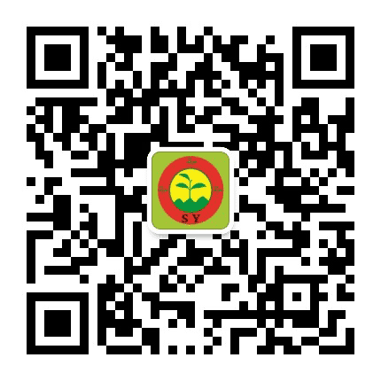 三叶圆晶公众号二维码