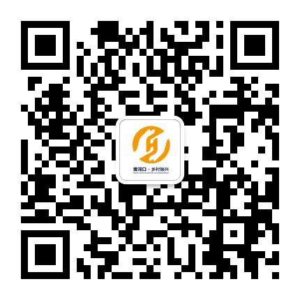黄河口乡村振兴公众号二维码