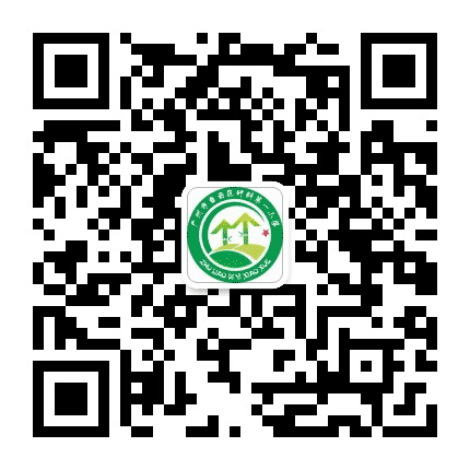 竹料一小公众号二维码
