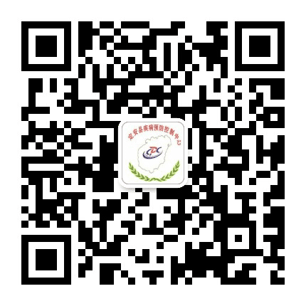 定安CDC公众号二维码