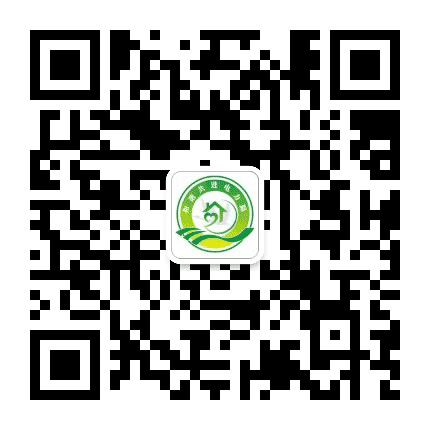和谐共进电力路公众号二维码