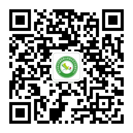 朝阳爱山街道社区卫生服务中心公众号二维码