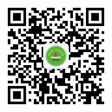 保兴食用菌公众号二维码