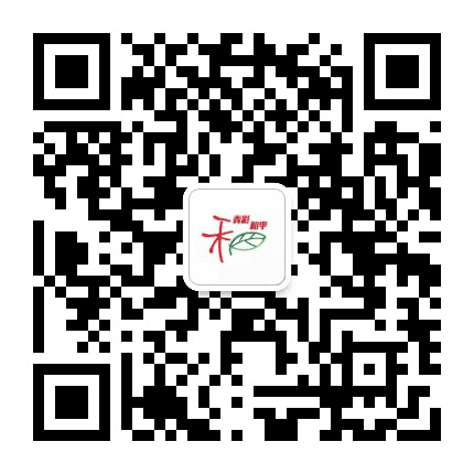 青彩和平公众号二维码