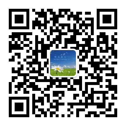 唯美路东公众号二维码