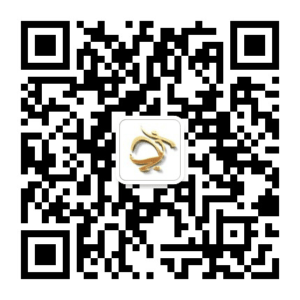 上海市宝山区文化馆公众号二维码