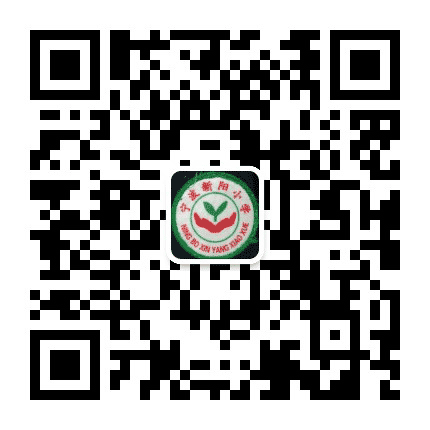 新阳小学公众号二维码