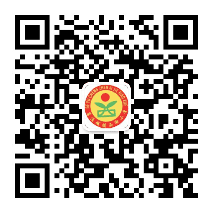 葛渔城镇西街小学公众号二维码
