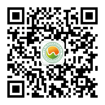 南沙区东湾小学公众号二维码