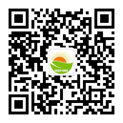 鹤岗市教育第一幼儿园公众号二维码