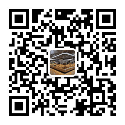 下元惠民综合市场公众号二维码