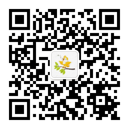 团堡枝音公众号二维码