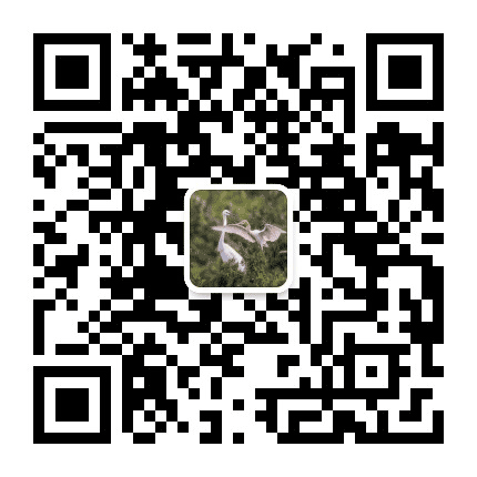 清河街道白鹭湖社区公众号二维码