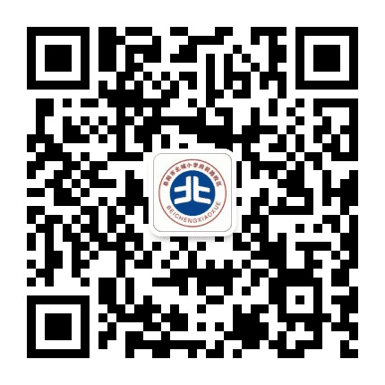 阜阳市九里小学公众号二维码