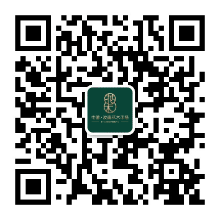 汝南花木市场公众号二维码