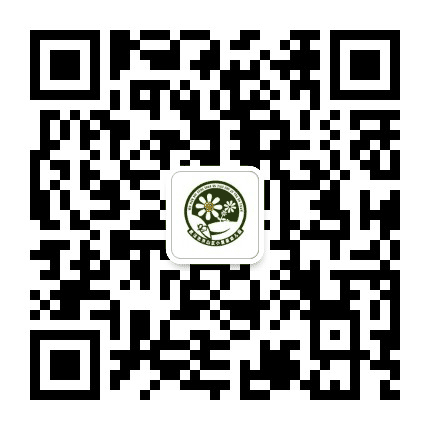 洪山当代儿童艺术幼儿园公众号二维码