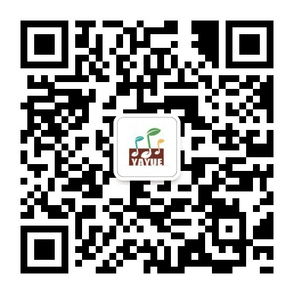 海盐雅乐琴行公众号二维码