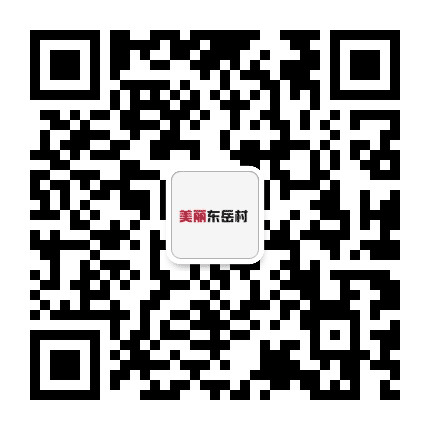 美丽东岳村公众号二维码