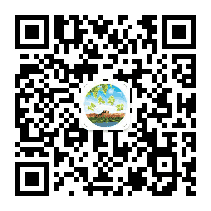 阳关葡萄公众号二维码