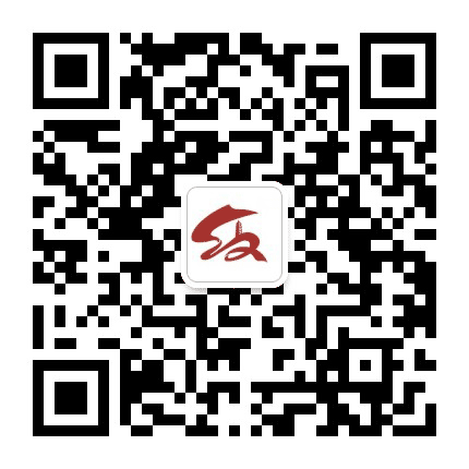宝塔文明实践公众号二维码