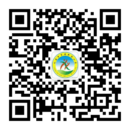 陇南礼县盐官新合小学公众号二维码
