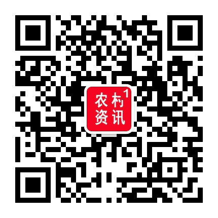 新农村资讯站公众号二维码