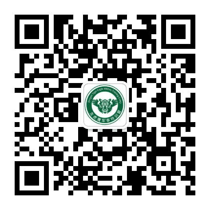 龙虎鹰特训营公众号二维码