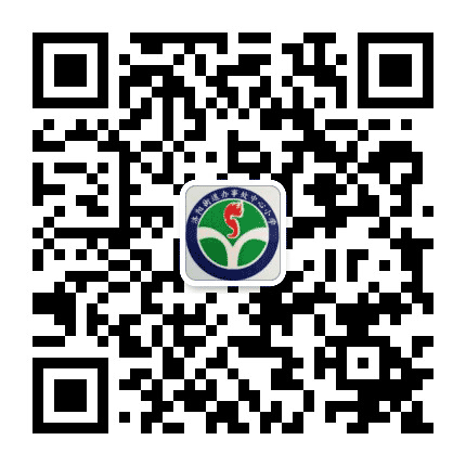 济阳街道小学公众号二维码