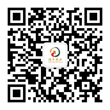 迎丰现代农业公众号二维码